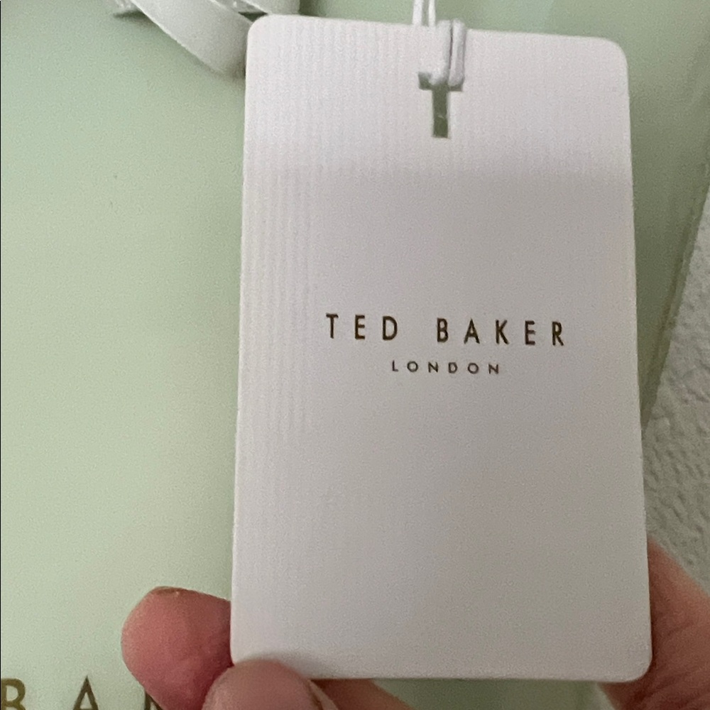 Ted Baker Light Green Mini Bag with Bow NWT - Picture 3 of 7
